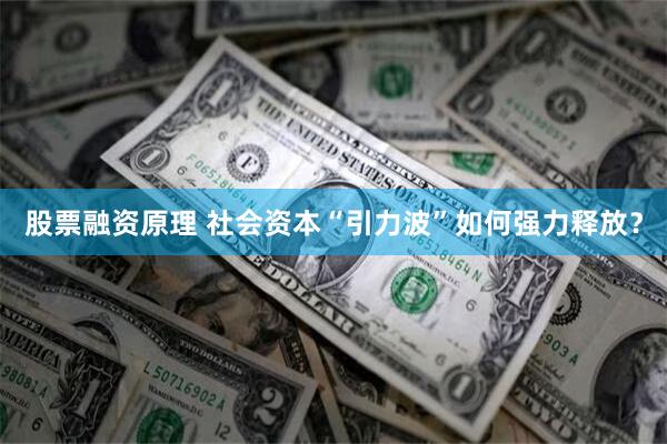 股票融资原理 社会资本“引力波”如何强力释放？