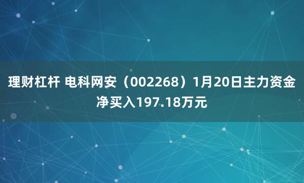 理财杠杆 电科网安（002268）1月20日主力资金净买入197.18万元