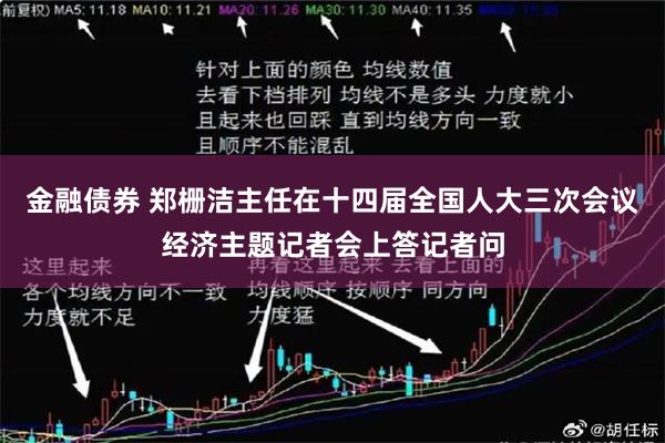 金融债券 郑栅洁主任在十四届全国人大三次会议经济主题记者会上答记者问